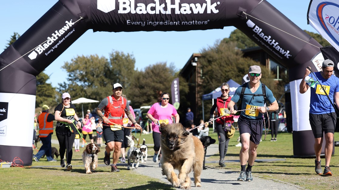 Black Hawk sponsors 4 Paws Marathon hero image