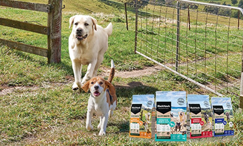 Black Hawk Dog Food for Functional Needs preview image