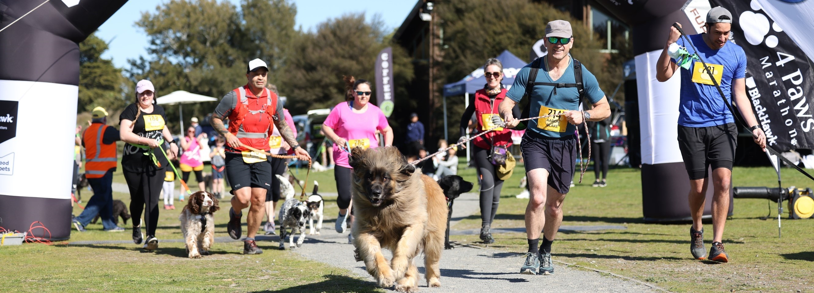 Marathon runners and their dogs crossing finish line